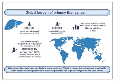 Number of new cases and deaths from liver cancer predicted .